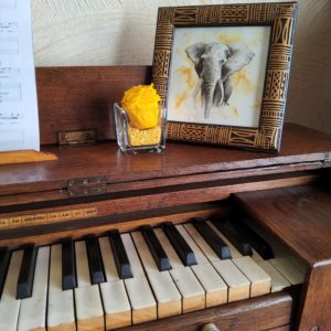 "Eléphant bienveillant"