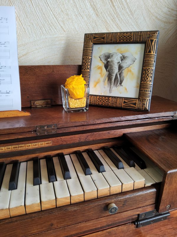 "Eléphant bienveillant"